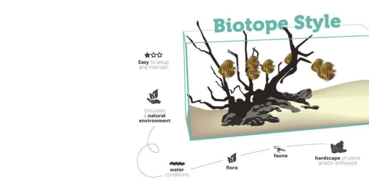 Phong Cách Biotope
