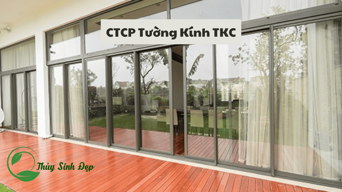CTCP Tường Kính TKC Làm Nhôm Kính Tại Hà Nội
